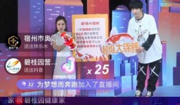 碧桂园爆料直播视频大全,全方位展示项目亮点与魅力