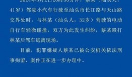 新爆料最新消息今天新闻,揭秘背后真相”